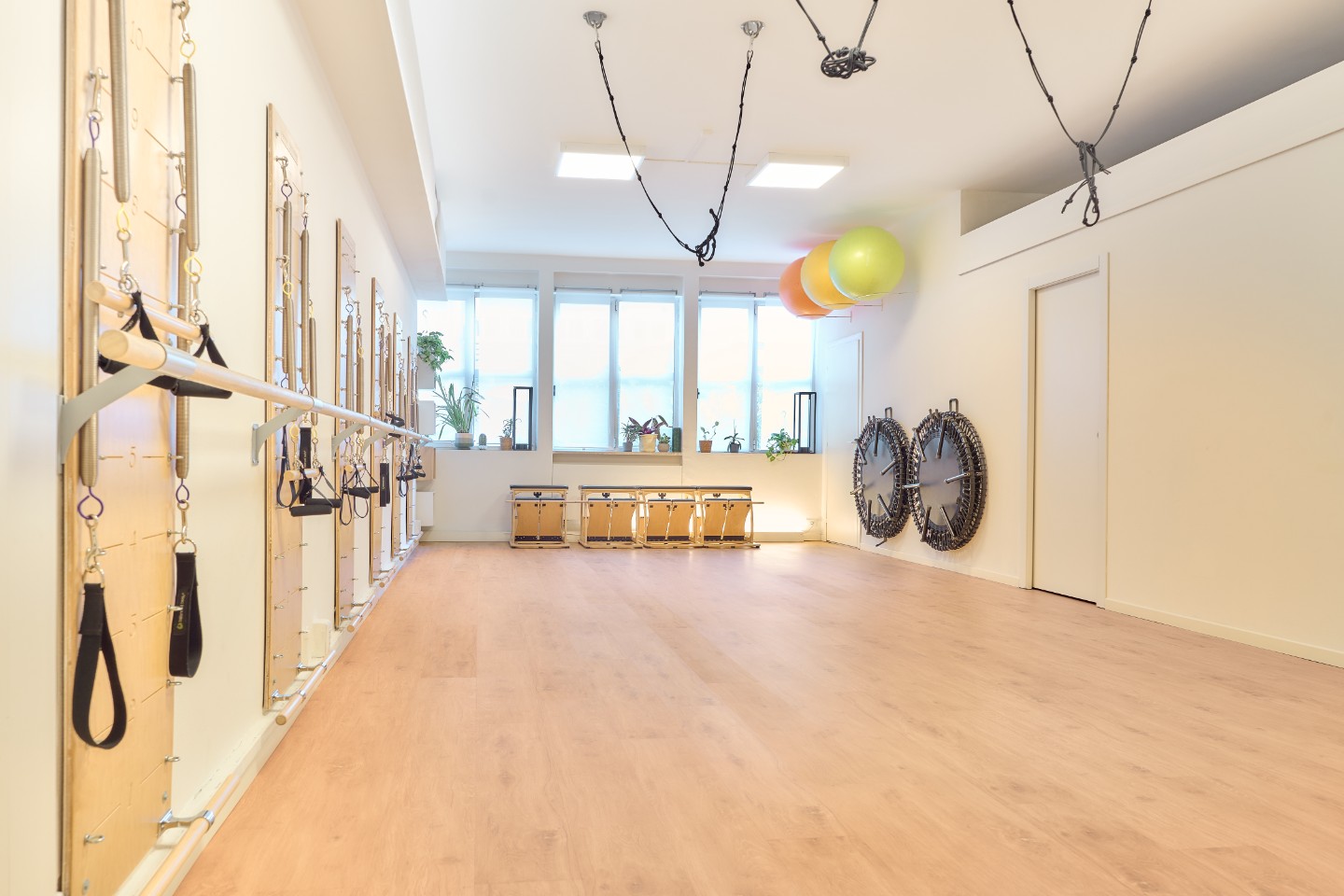 Gallery element #8