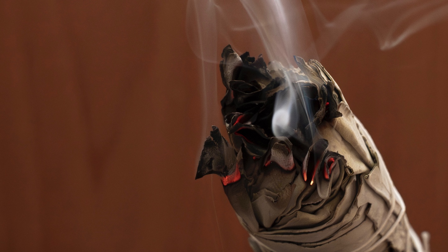 Gallery element #16